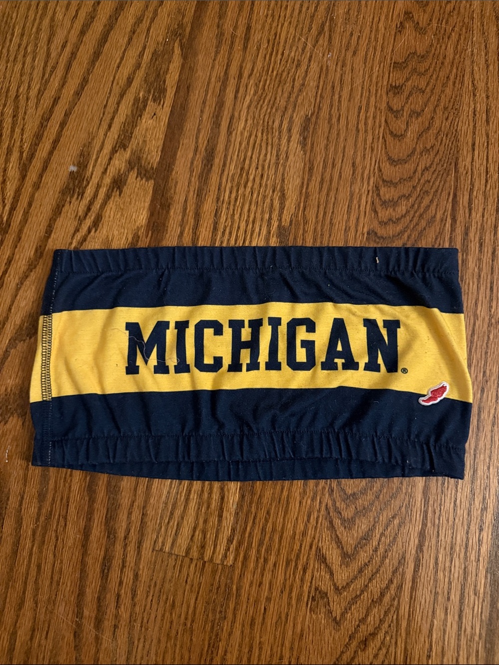Michigan Navy and Maize Tube Top